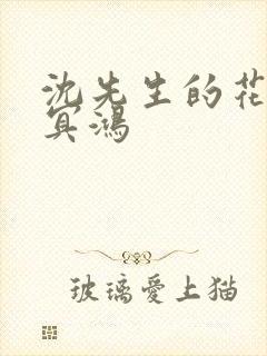 沈先生的花式调冥鸿