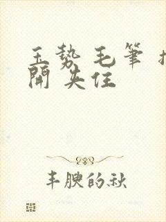 玉势 毛笔 撑开 夹住