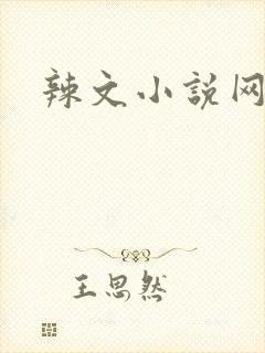 辣文小说网
