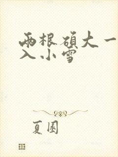 两根硕大一起挤入小雪