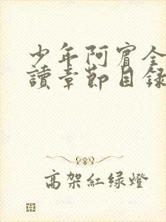 少年阿宾全文阅读章节目录