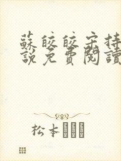 苏皎皎宋持的小说免费阅读