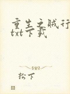 重生之贼行天下txt下载