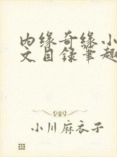 内缘奇缘小说全文目录笔趣阁