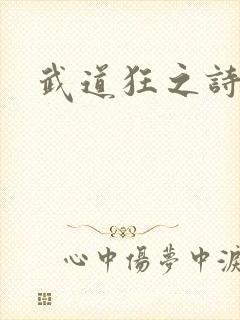 武道狂之诗