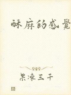 酥麻的感觉小说