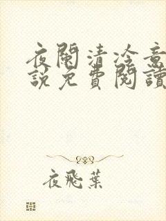 夜阑清冷意欢小说免费阅读