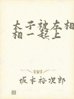 太子被左相和右相一起上