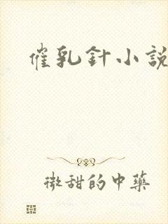 催乳针小说