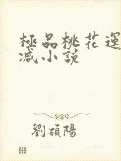 极品桃花运未删减小说