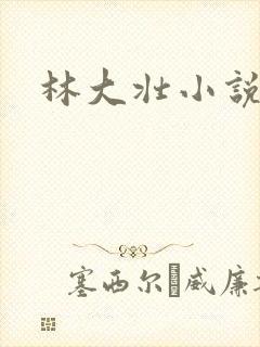 林大壮小说阅读