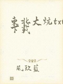 东北大炕txt下载