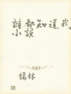 谁都知道我爱你小说