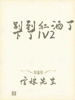 别到红酒了装不下了1V2