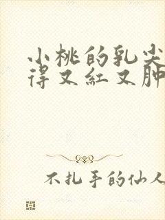 小桃的乳尖被吸得又红又肿