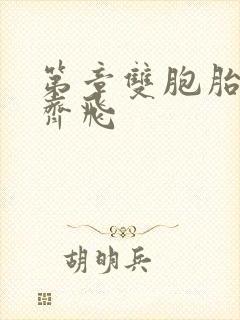 第章双胞胎姐妹齐飞