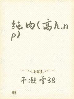 纯肉(高h.np)