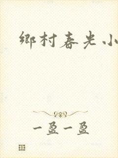 乡村春光小说