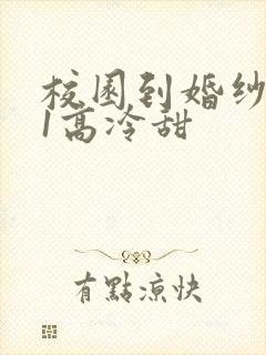 校园到婚纱1V1高冷甜