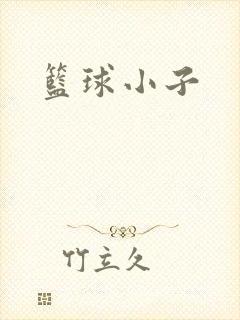 篮球小子