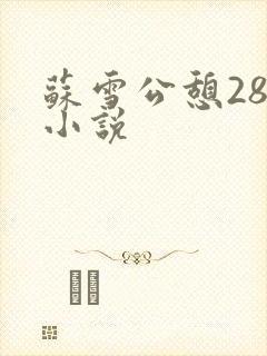 苏雪公憩28篇小说