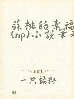 苏桃的幸福生活(np)小说笔趣阁