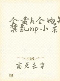 全黄h全肉短篇禁乱np小柔