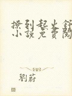 撩到起火舒漾的小说免费阅读全文