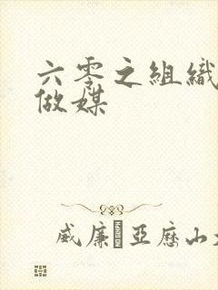 六零之组织给我做媒