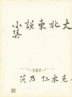 小说东北大炕全集