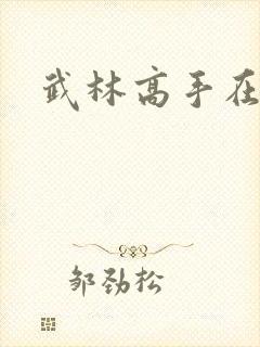 武林高手在异界