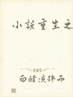 小说重生之官道