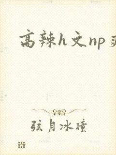 高辣h文np爽