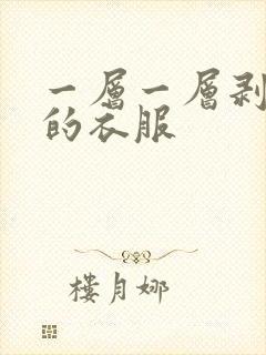 一层一层剥开我的衣服