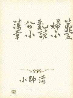 荡公乱妇第51章小说小莹