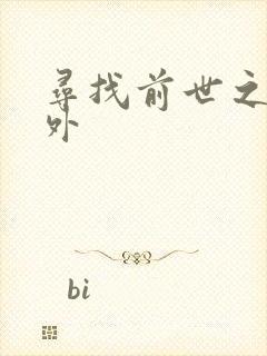 寻找前世之旅番外