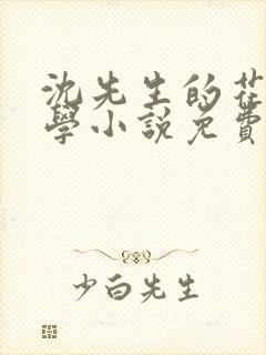 沈先生的花式教学小说免费