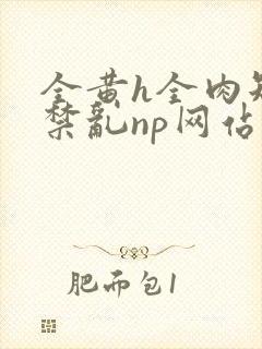 全黄h全肉短篇禁乱np网站