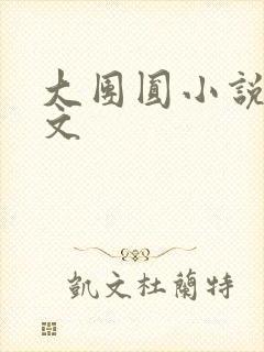 大团圆小说集全文