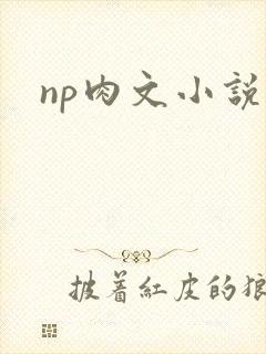 np肉文小说