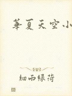 华夏天空小说网