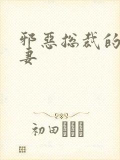 邪恶总裁的娇宠妻