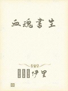 血魂书生