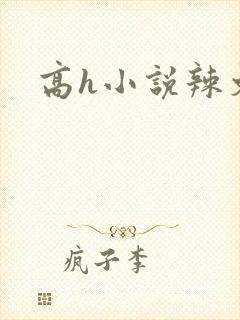 高h小说辣文