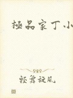 极品家丁小说