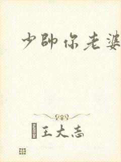 少帅你老婆