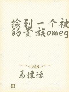 捡到一个被抹布的贵族omega