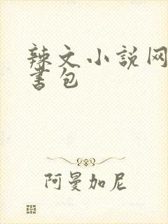 辣文小说网第二书包