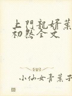 上门龙婿叶辰萧初然全文