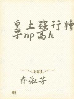 皇上强行糟蹋太子np高h